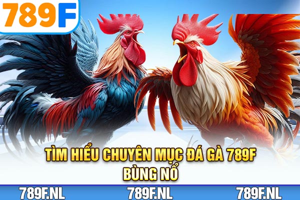 Tìm hiểu chuyên mục đá gà 789F bùng nổ Tìm hiểu chuyên mục đá gà 789F bùng nổ