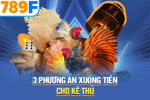 3 phương án xuống tiền cho kê thủ 3 phương án xuống tiền cho kê thủ
