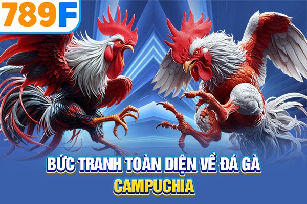 Bức tranh toàn diện về đá gà Campuchia Bức tranh toàn diện về đá gà Campuchia