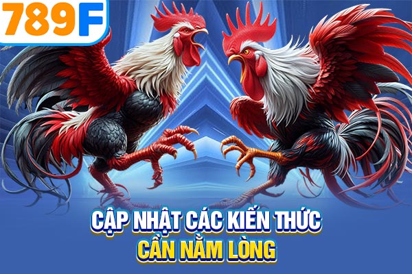 Cập nhật các kiến thức cần nằm lòng Cập nhật các kiến thức cần nằm lòng