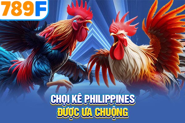 Chọi kê Philippines được ưa chuộng Chọi kê Philippines được ưa chuộng