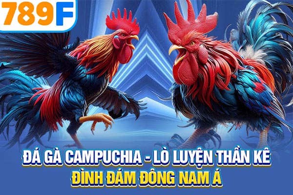 Đá Gà Campuchia - Lò Luyện Thần Kê Đình Đám Đông Nam Á
