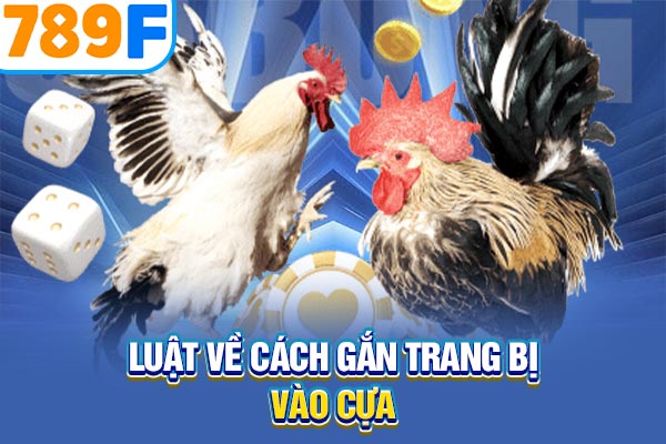 Luật về cách gắn trang bị vào cựa Luật về cách gắn trang bị vào cựa