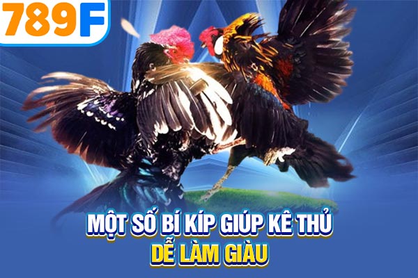 Một số bí kíp giúp kê thủ dễ làm giàu Một số bí kíp giúp kê thủ dễ làm giàu