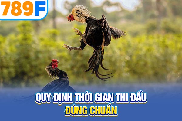 Quy định thời gian thi đấu đúng chuẩn Quy định thời gian thi đấu đúng chuẩn