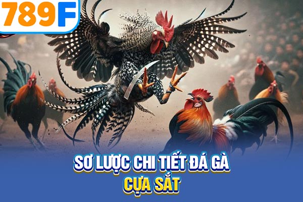 Sơ lược chi tiết đá gà cựa sắt Sơ lược chi tiết đá gà cựa sắt